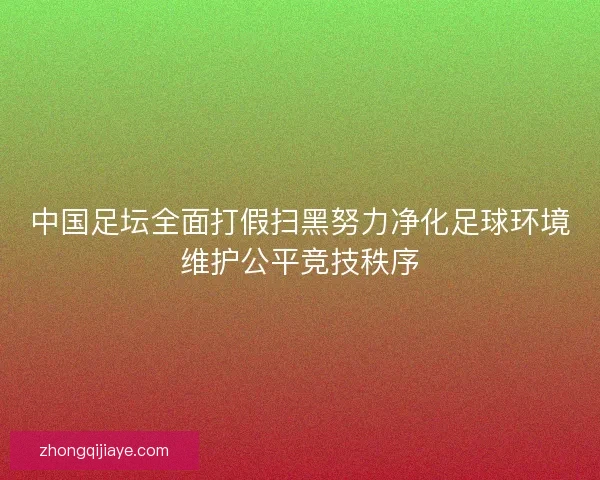 中国足坛全面打假扫黑努力净化足球环境维护公平竞技秩序